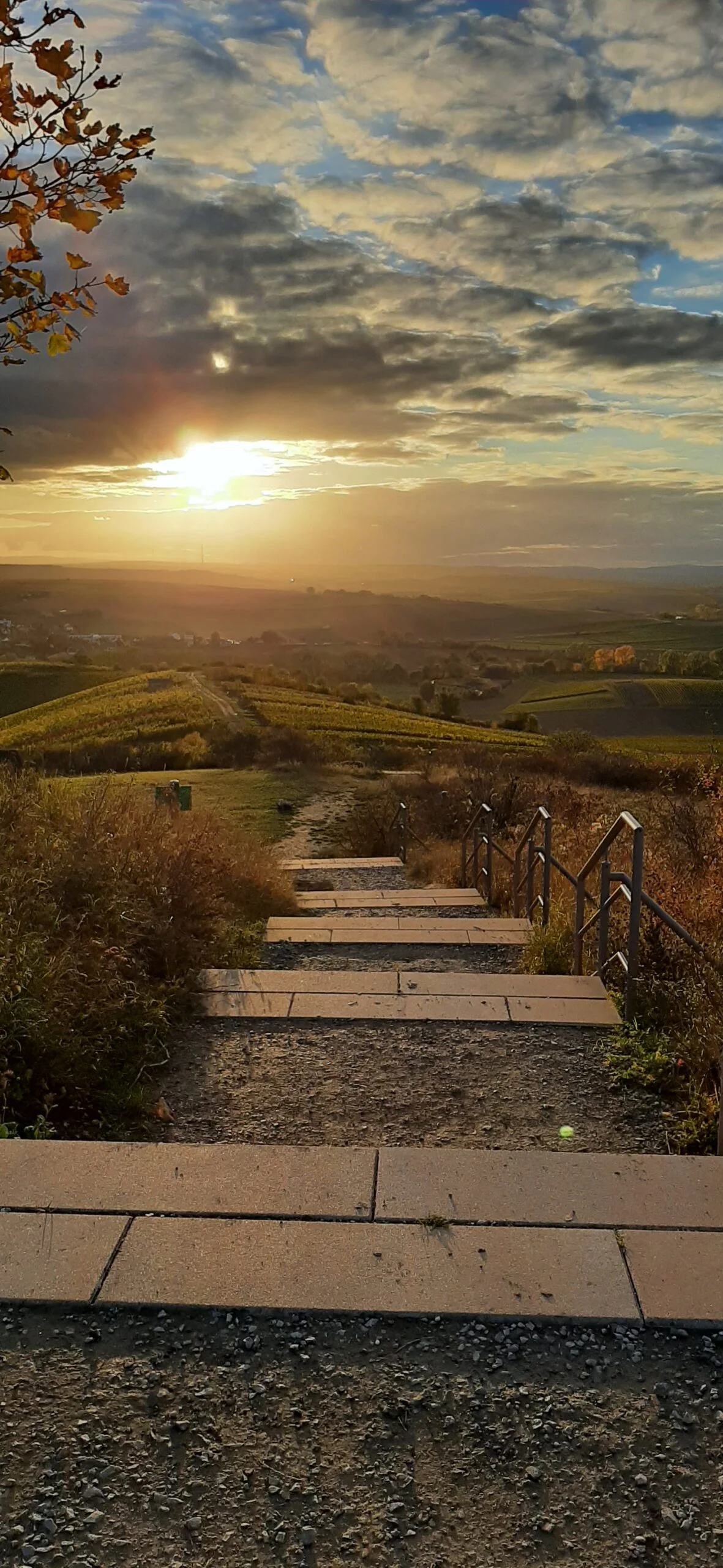 abendsonne-landschaft-treppenweg Ein Treppenweg führt durch eine Landschaft, über der die Abendsonne zwischen Wolken scheint.
