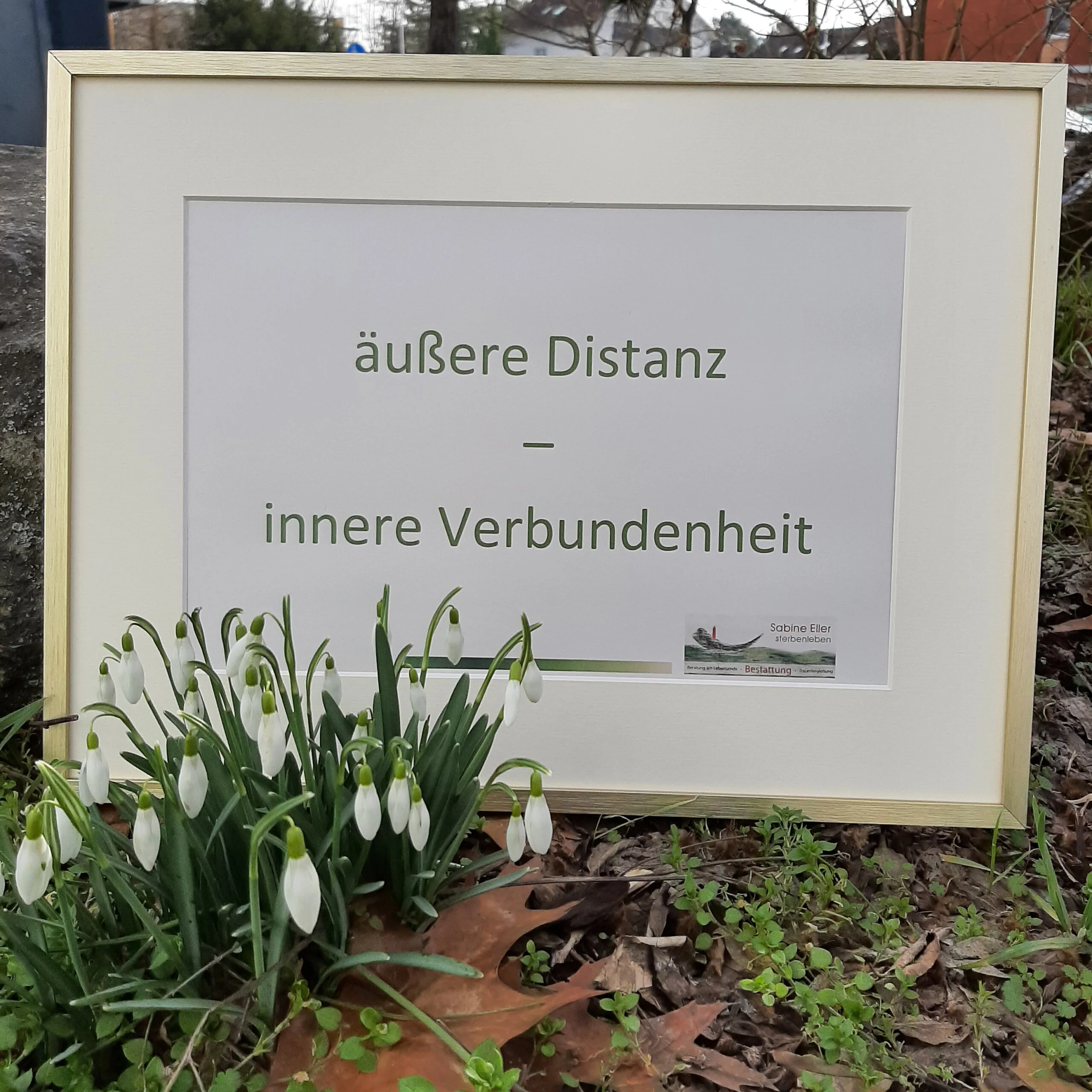 Gerahmtes Schild mit den Worten „äußere Distanz – innere Verbundenheit“ zwischen Schneeglöckchen.
