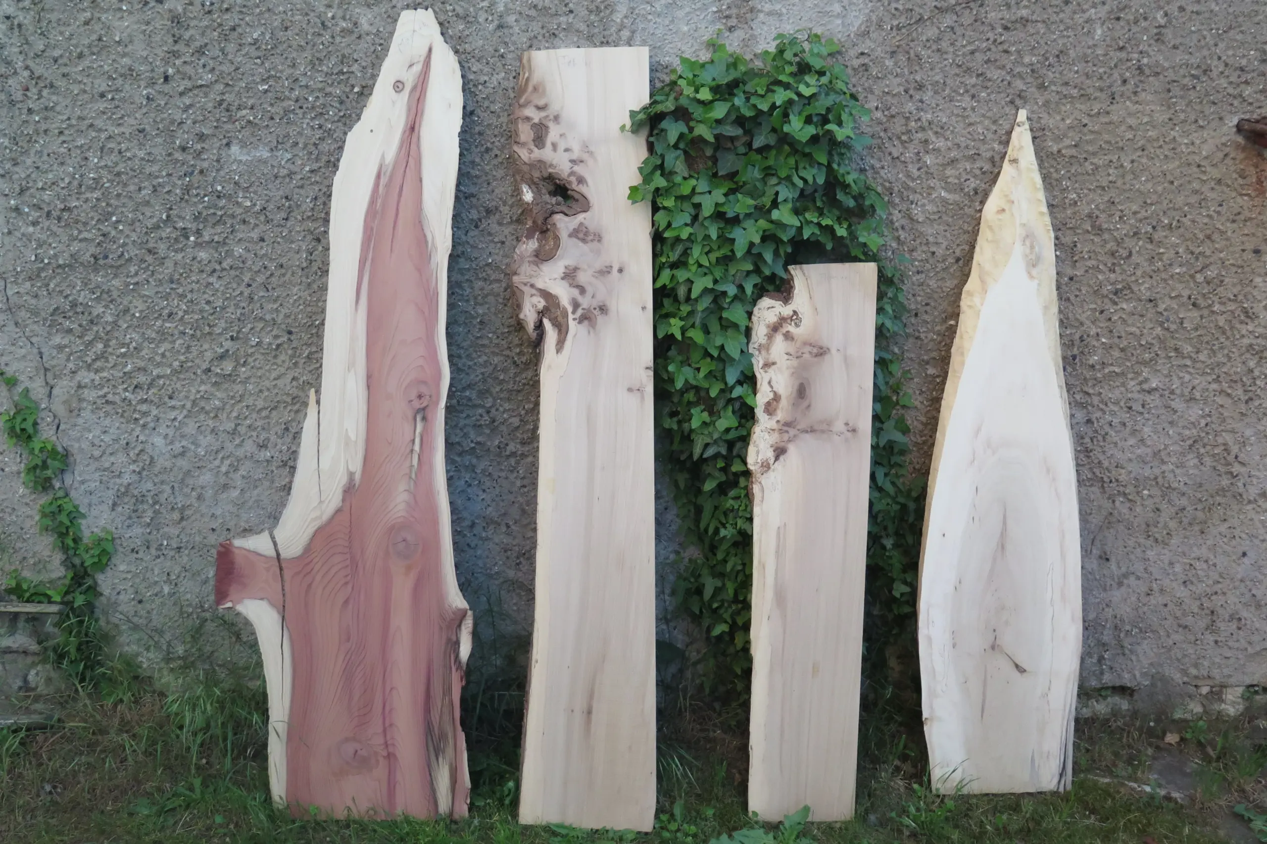 gedenkbretter-naturholz-werkstatt Vier unterschiedlich geformte Gedenkbretter aus hellem Holz lehnen vor einer bewachsenen Wand.