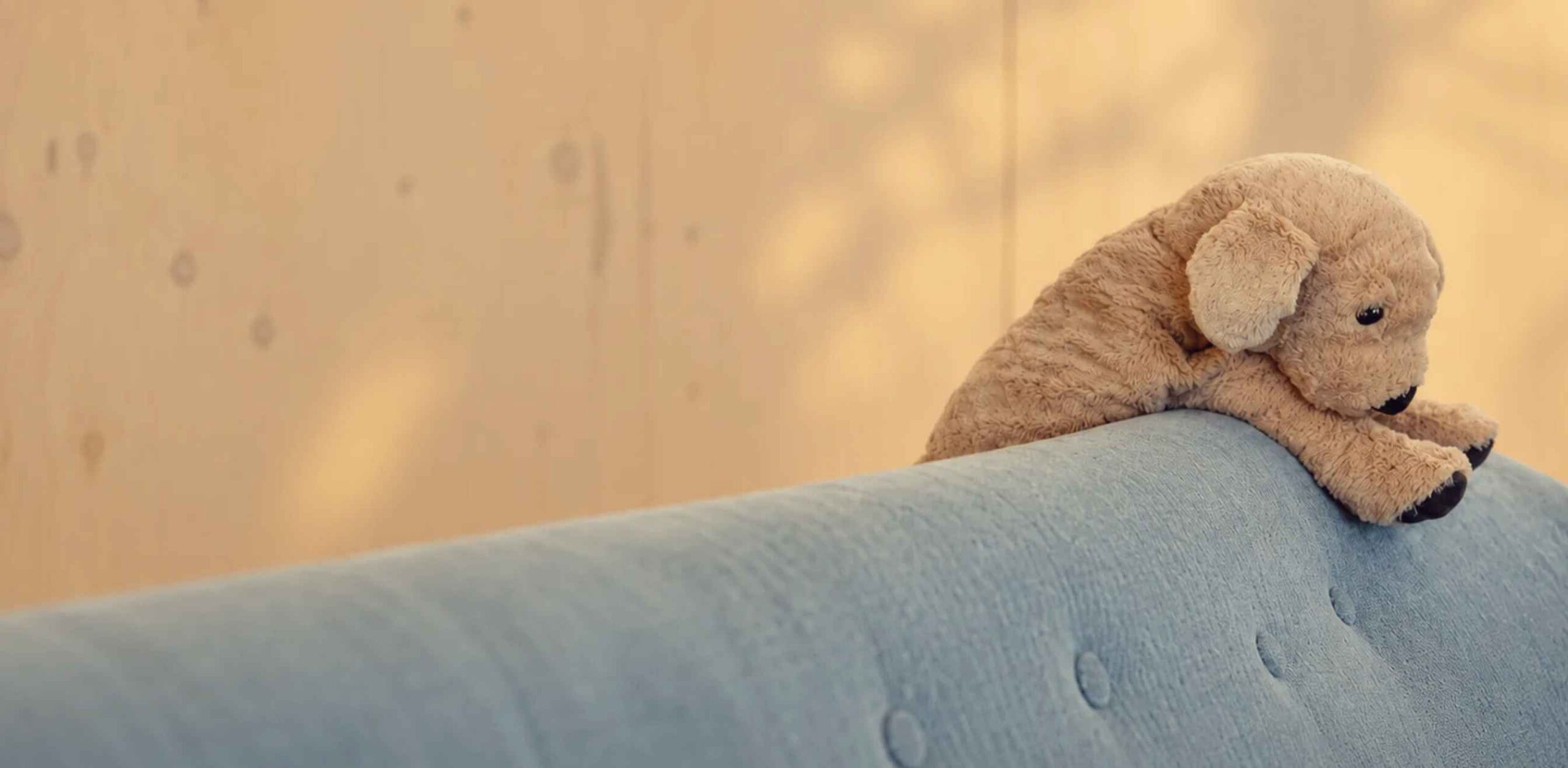 Kuscheltier als Begleiter beim Abschied Ein braunes Kuscheltier liegt auf der Rückenlehne eines blauen Sofas.